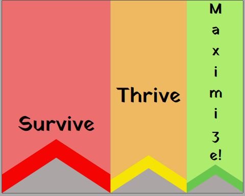 Survive, Thrive, Maximize – Which mode of Life are you in?